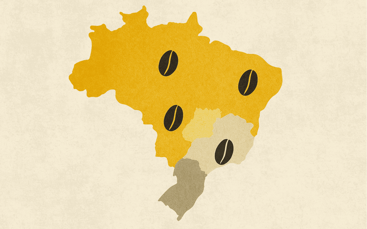 Regiões com IG: Por que os cafés produzidos nessas regiões são especiais?