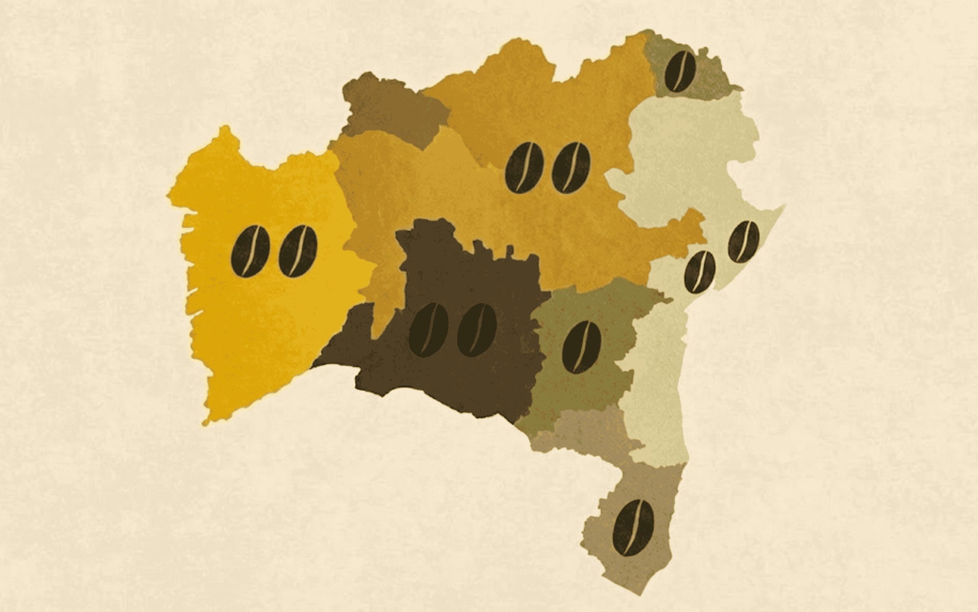 Conheça as principais regiões produtoras de café da Bahia