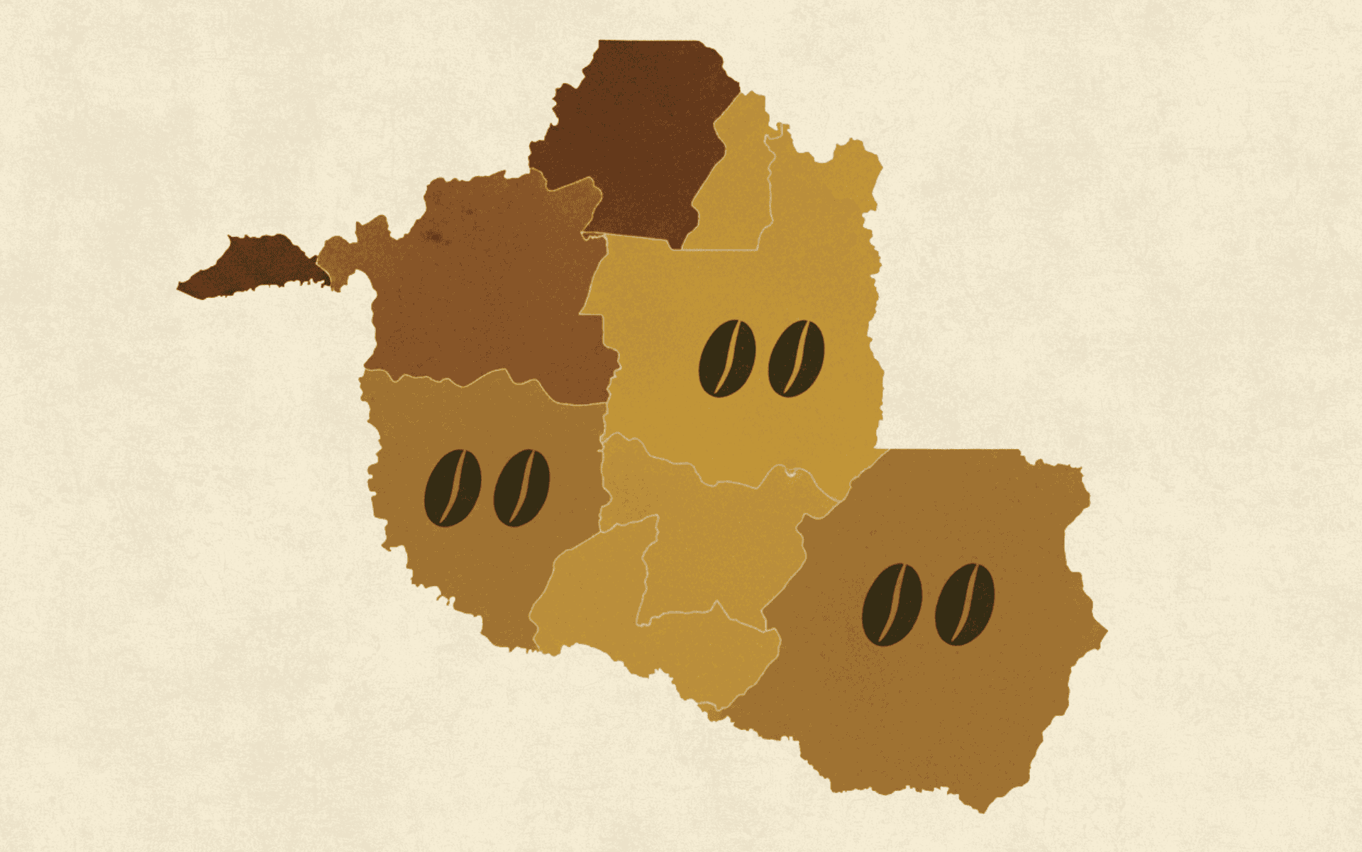 Conheça as principais regiões produtoras de café de Rondônia