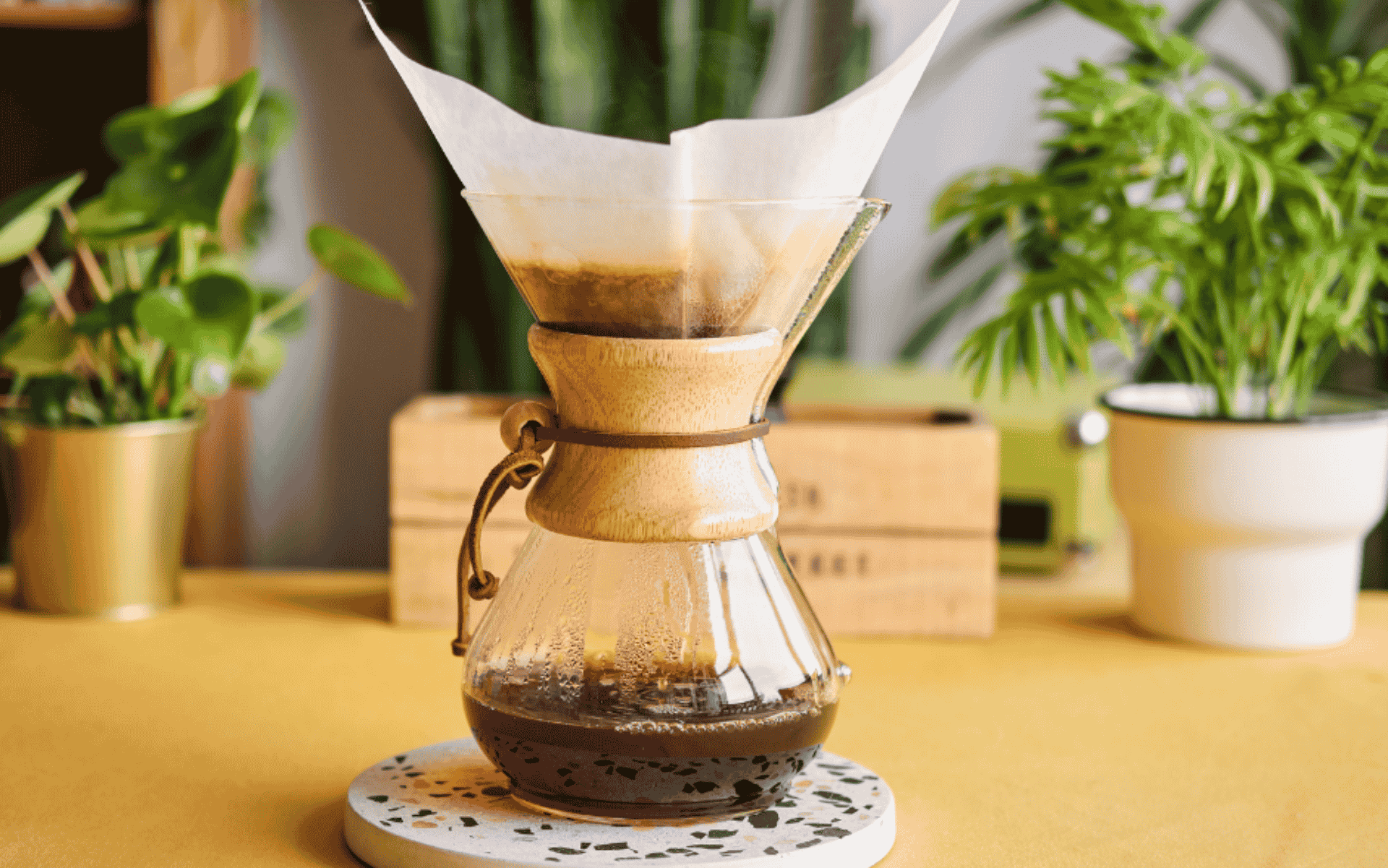 Como escolher o melhor café para Chemex?