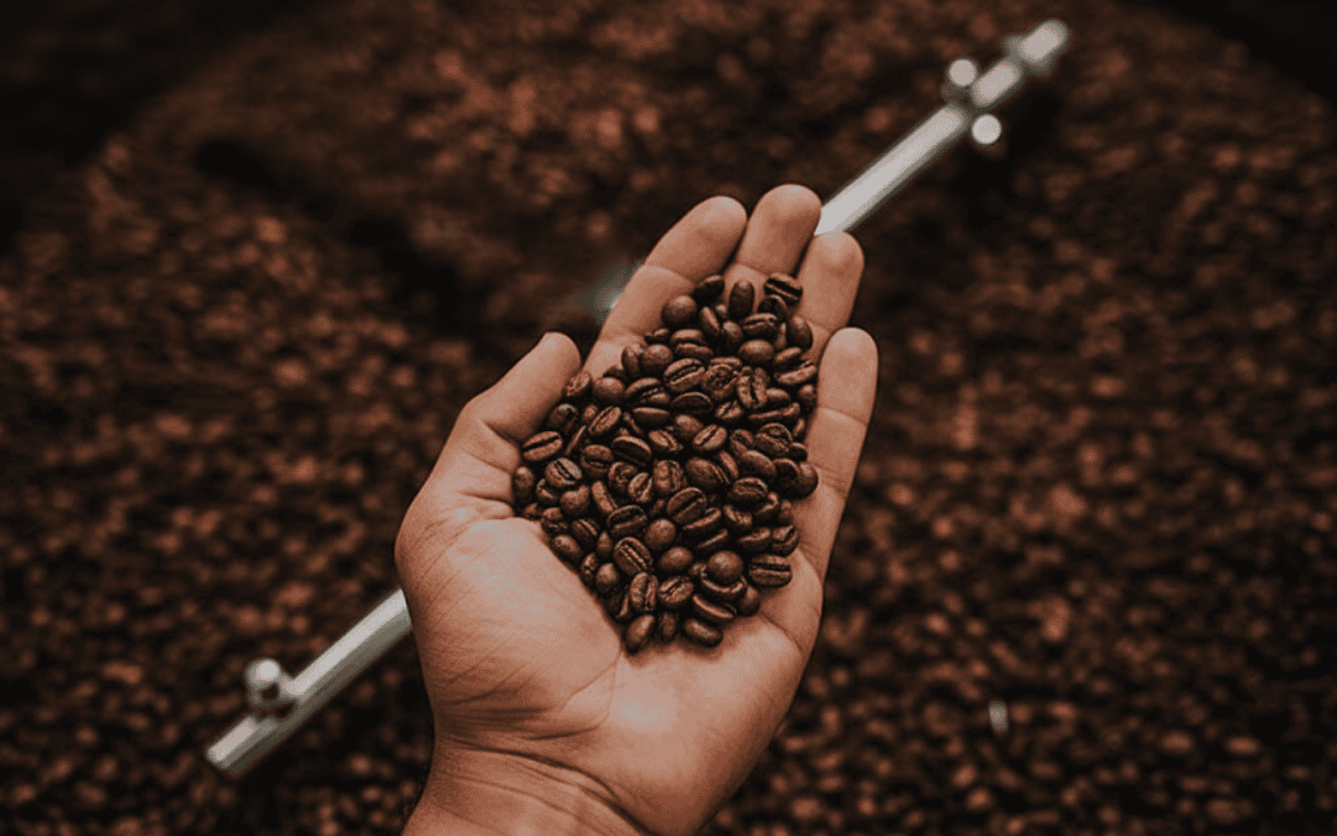 Quando usar um café de torra escura?