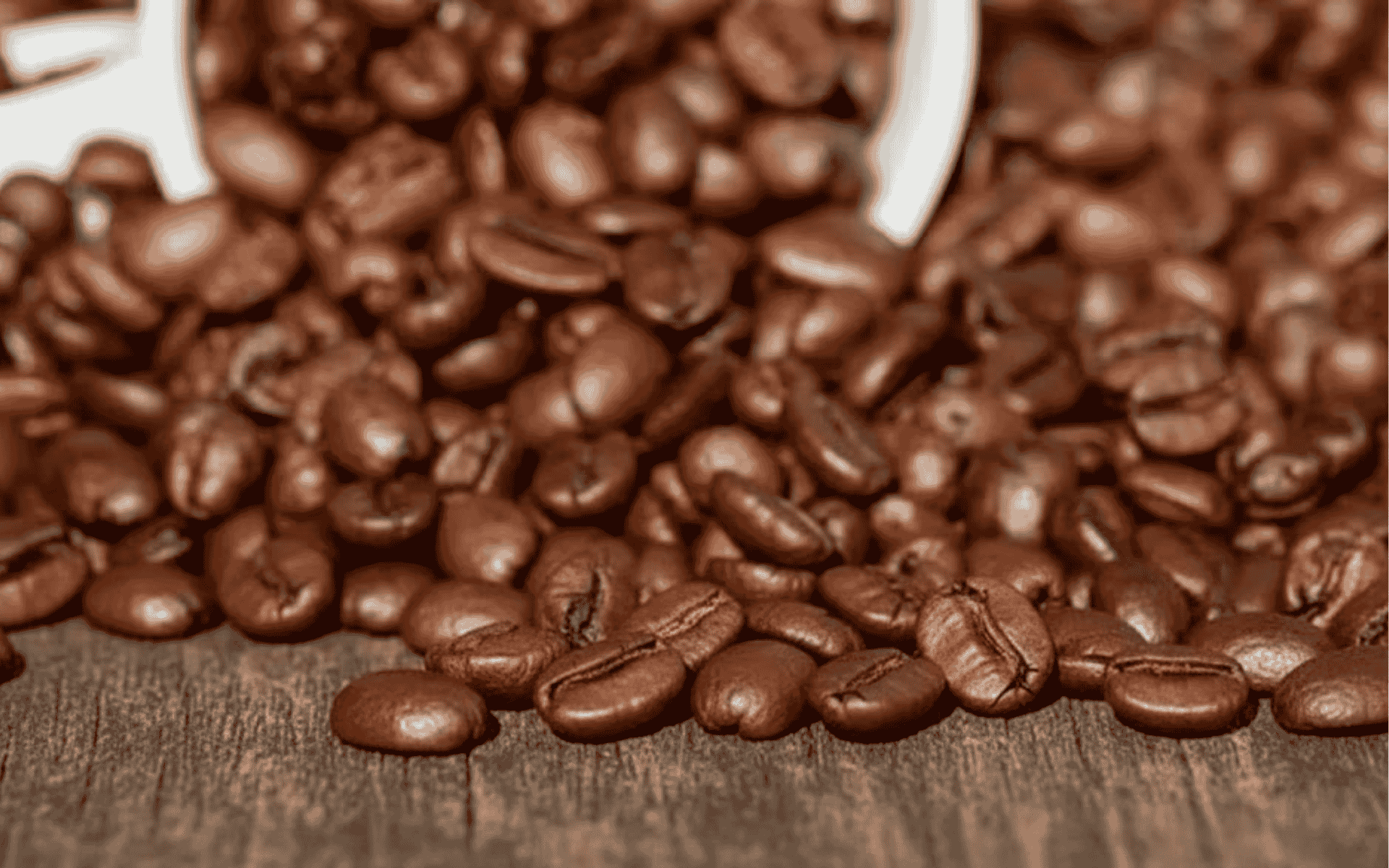 Quando usar torra média?