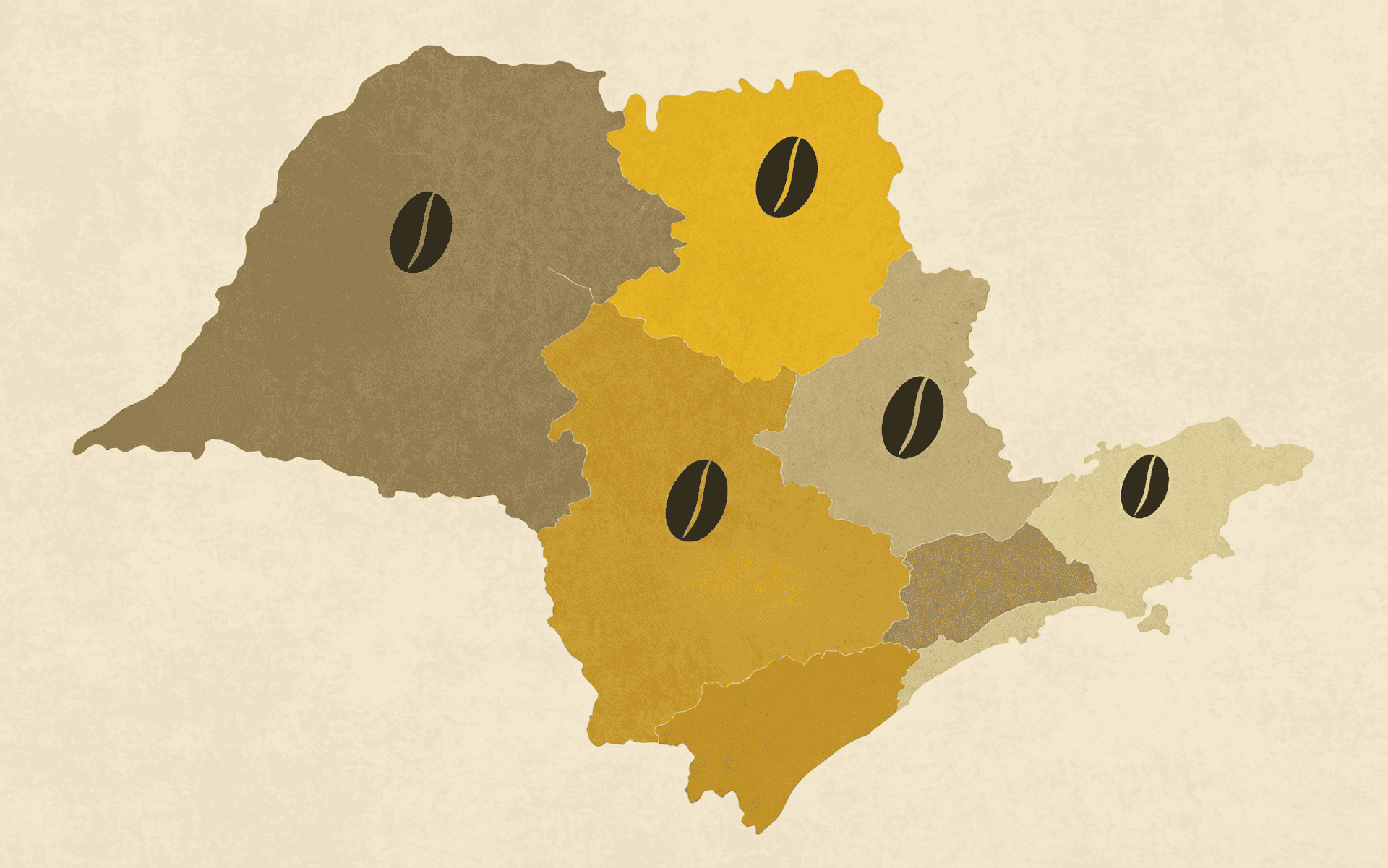 Conheça as principais regiões produtoras de café em São Paulo