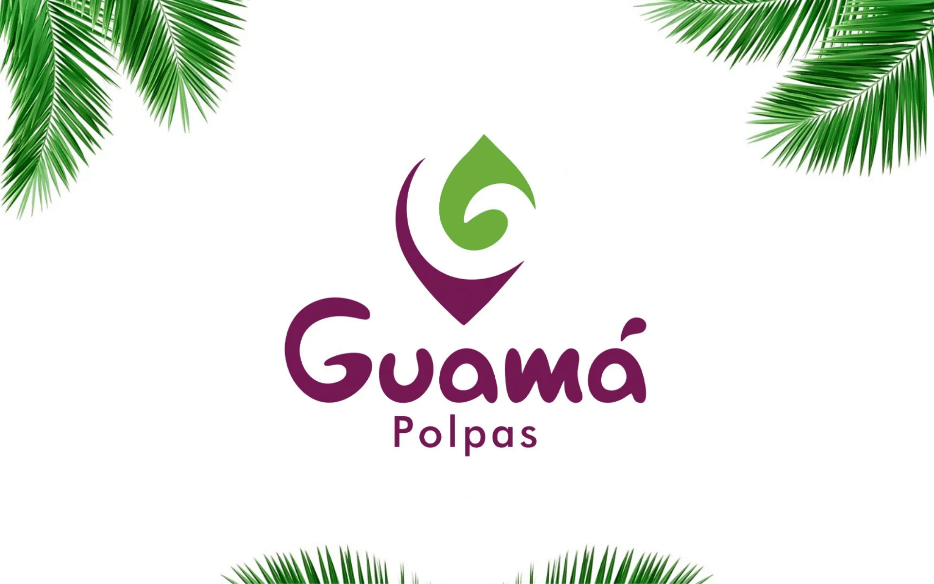Conheça a Guamá Polpas: grãos de açaí torrados e moídos para enriquecer a sua rotina com saúde