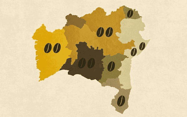 Conheça as principais regiões produtoras de café da Bahia